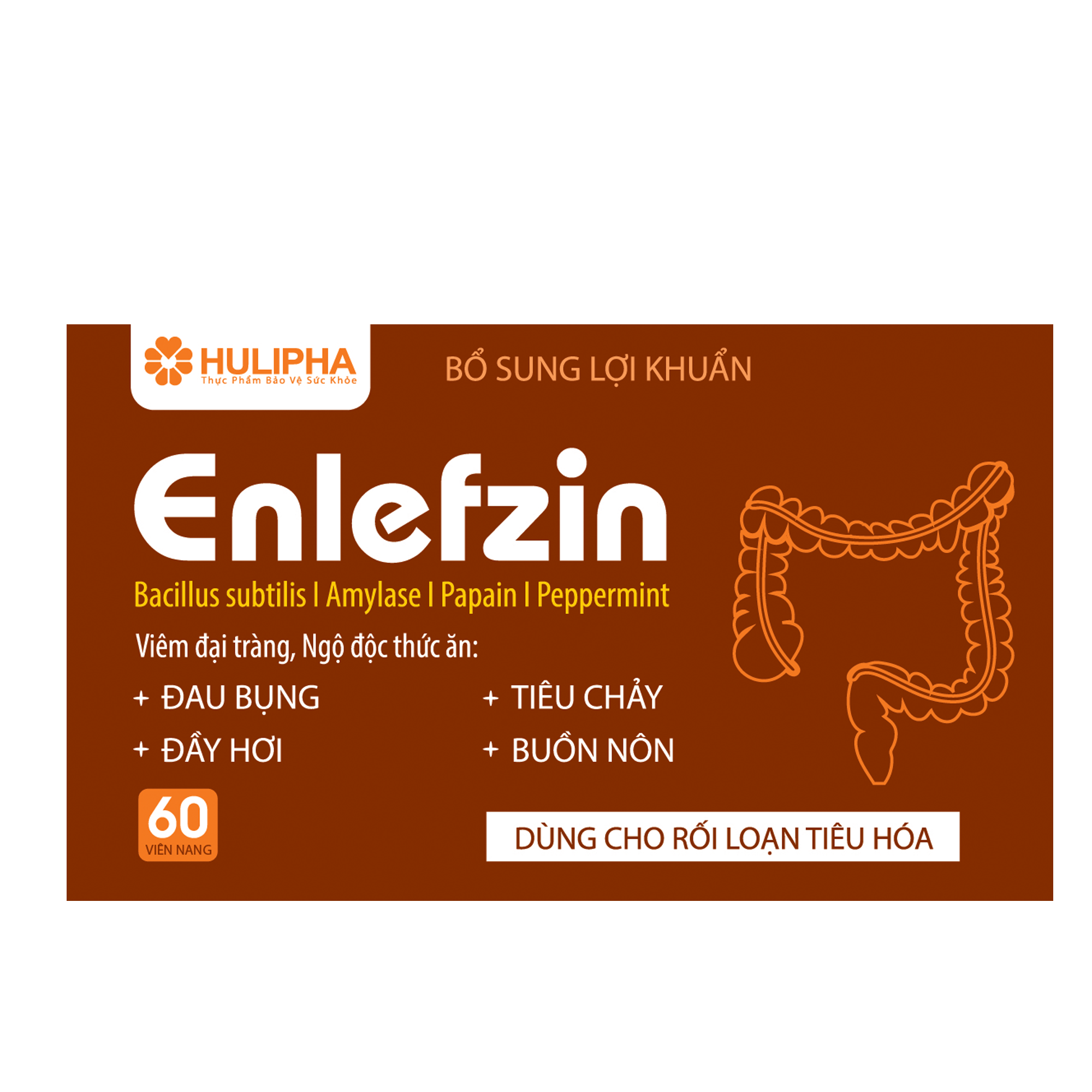 Hình ảnh Thực Phẩm Chức Năng Enlefzin giúp giảm Viêm đại tràng, Đau bụng, Tiêu chảy, Ngộ Độc Thực phẩm và