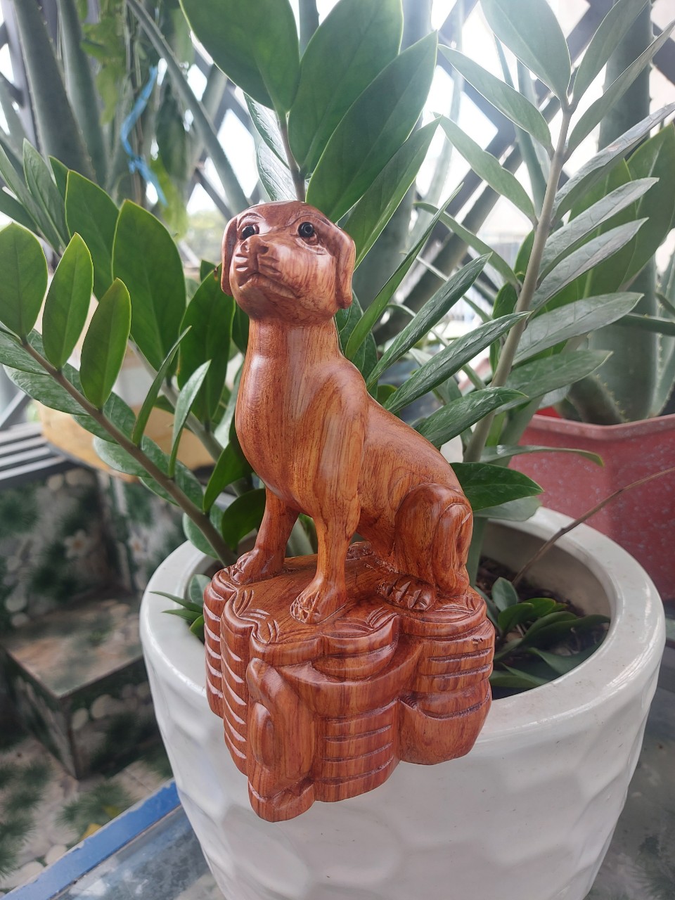Tượng chó gỗ hương nguyên khối cao 20cm