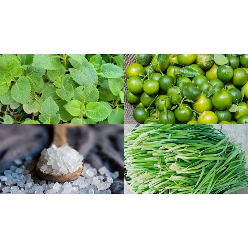 1kg lá húng chanh tươi sạch - cây nhà trồng