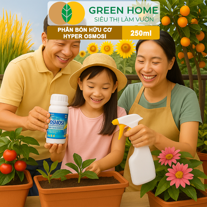 Phân Bón Hữu Cơ Hyper OSMOSI GreenHome, Chai 250ml, Thấm Sâu Nhanh, Tăng Hiệu Quả Hấp Thụ Dinh Dưỡng