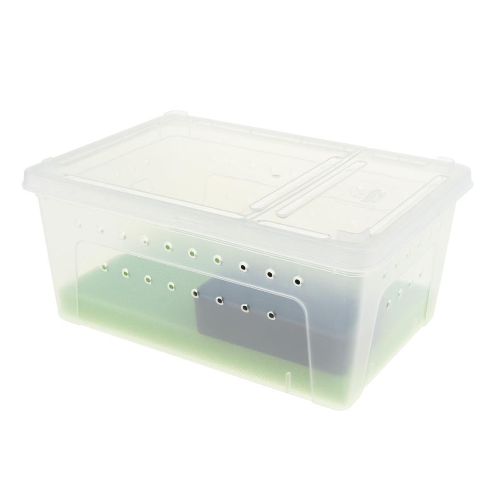 Reptile Amphibian Habitat Terrarium Vivarium Breeding Box