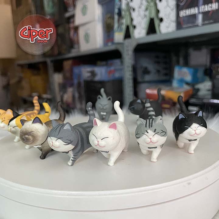 Bộ 9 mô hình Mèo Munchkin - Figure Action Cat