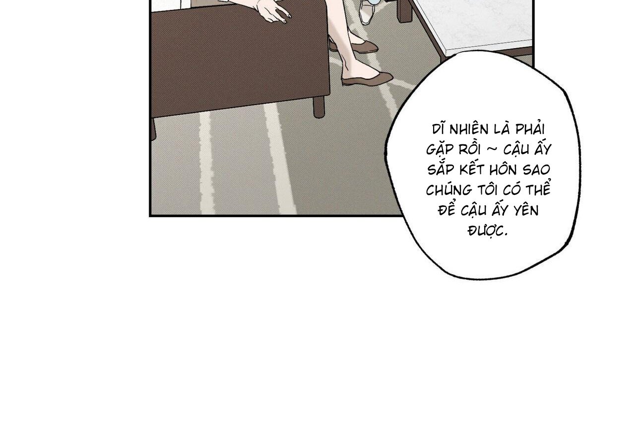 chàng giao pizza và gold palace chapter 48 168