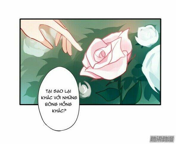 đam mỹ lời ngụy biện chapter 20 6