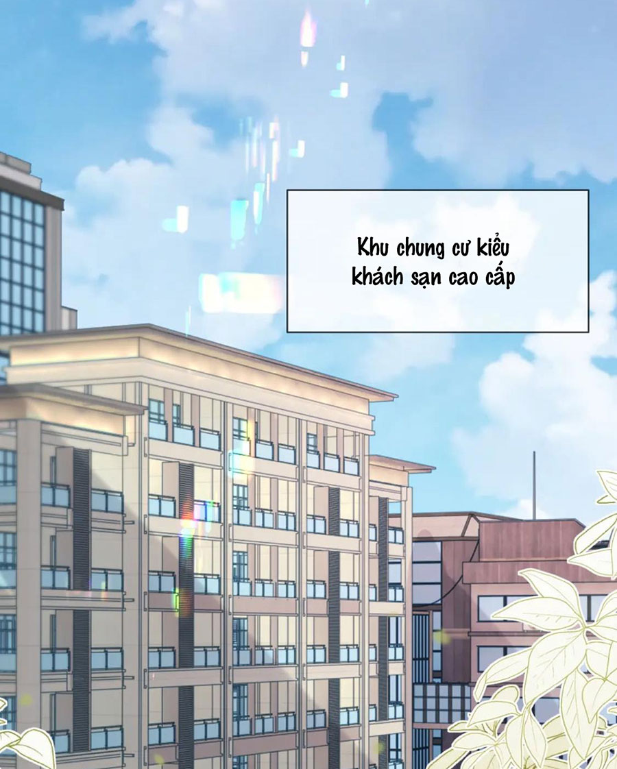 xin hãy ly hôn chapter 102 7