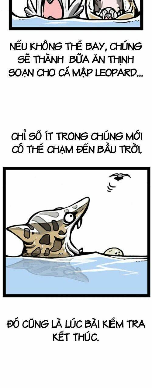 earth, human, and animal chapter 1 9