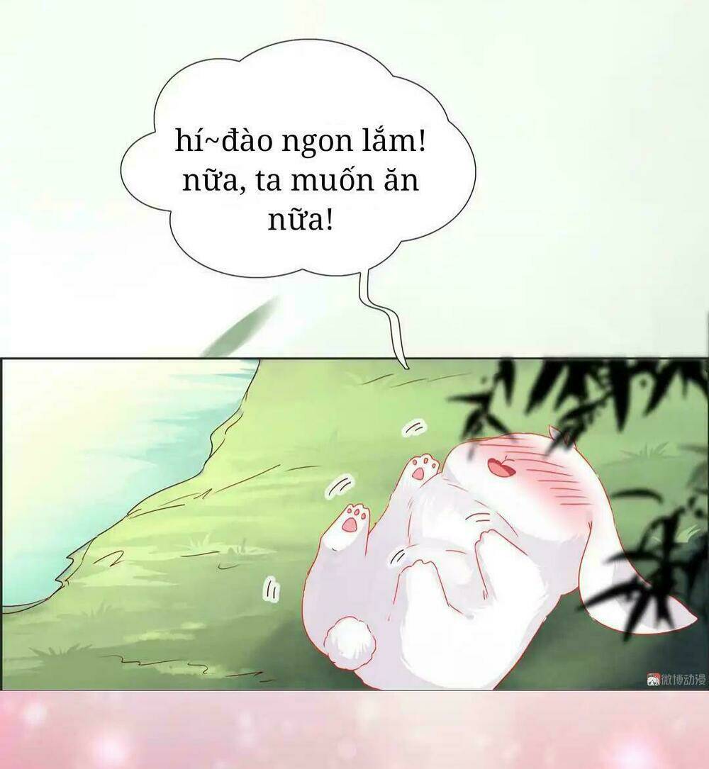 phi thiên địch tự dưỡng đích khẩu tử chapter 2 4