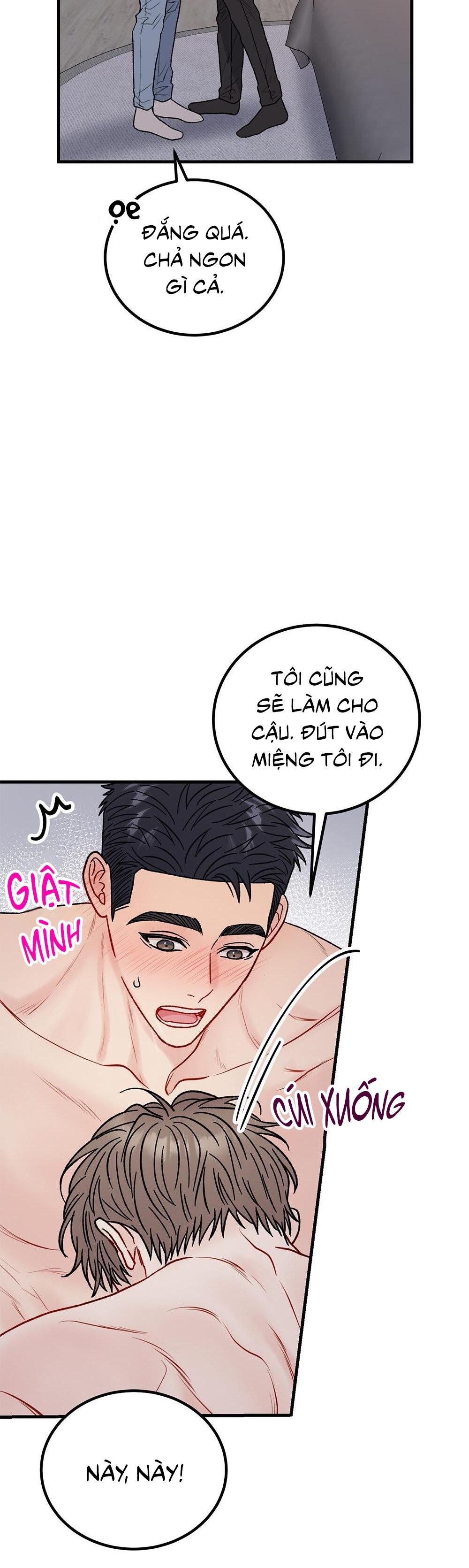 CẬU KHÔNG PHẢI LÀ GU CỦA TÔI chapter 36