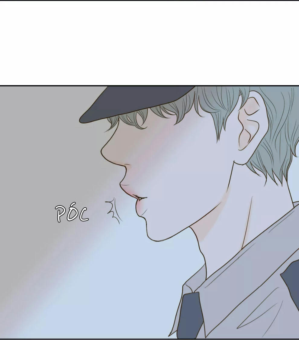 honey bed talk chapter 31 41