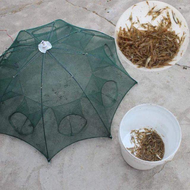 Lồng bát quái 8 cửa và 12 cửa