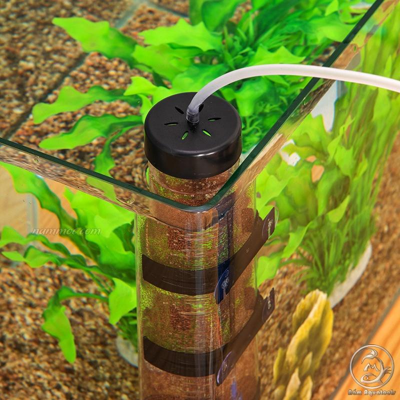 Lồng Ấp / Lò Ấp Trứng Artemia / Incubator for Brine Shrimp