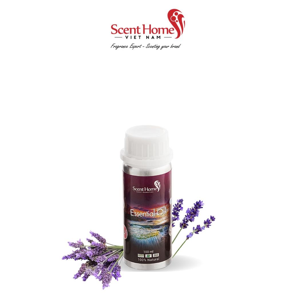 Tinh dầu Scent Homes - mùi hương