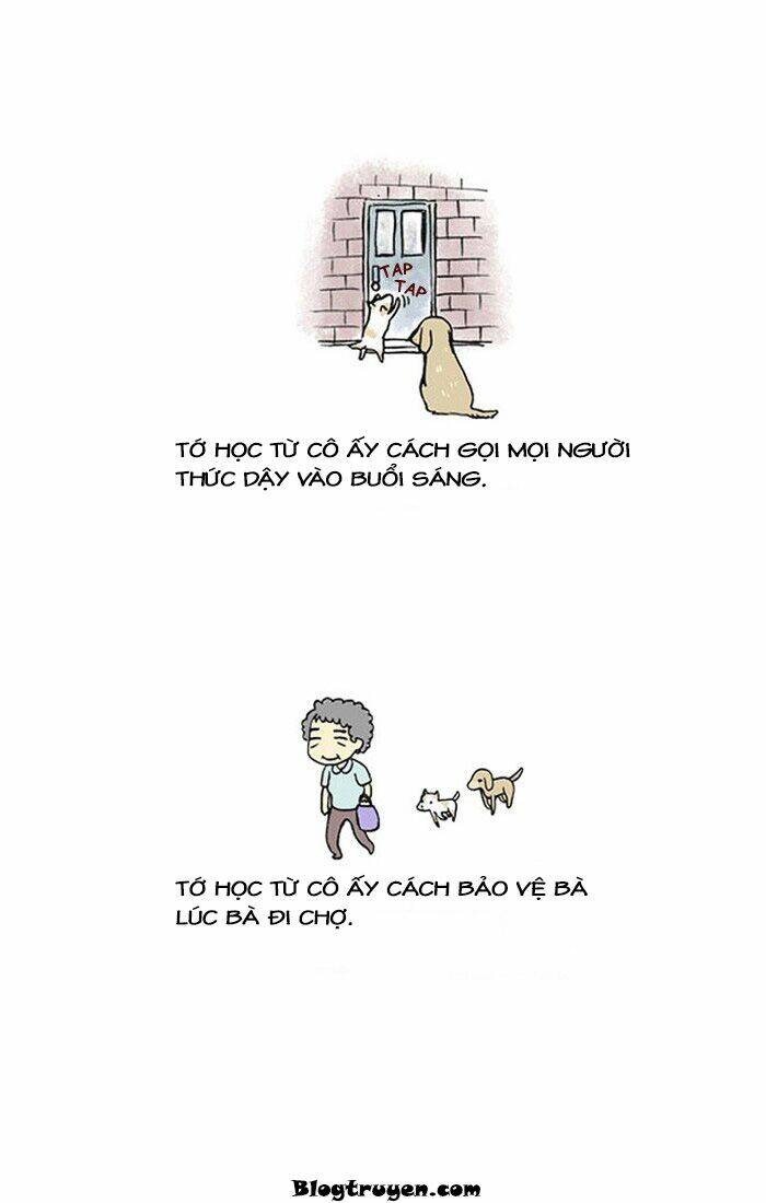 my kitty and old dog chapter 12 5