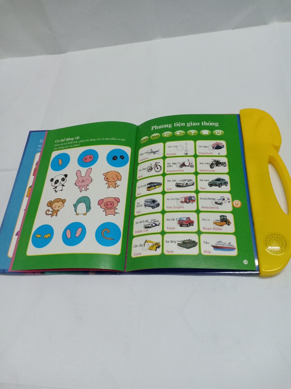 Bảng điện tử song ngữ Anh Việt tặng kèm cây viết bảng xóa được cho bé