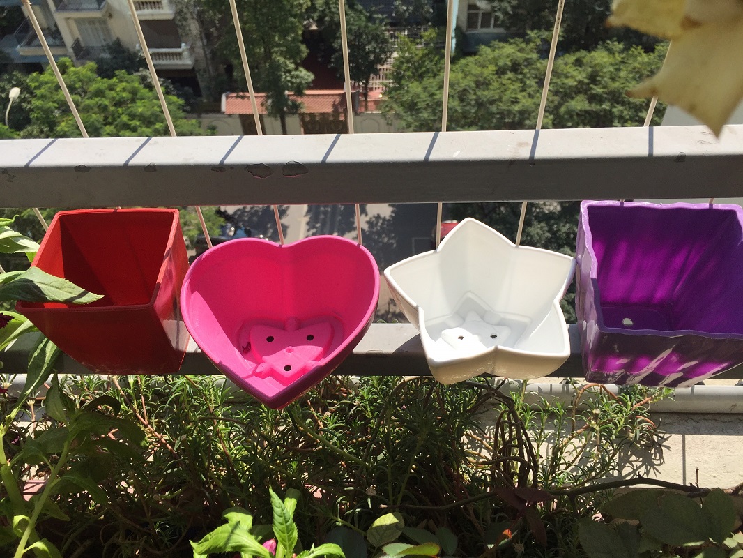 Combo 5 Chậu Nhựa Trồng Cây Mini Hình Vuông Kích Thước 10x10x10Cm