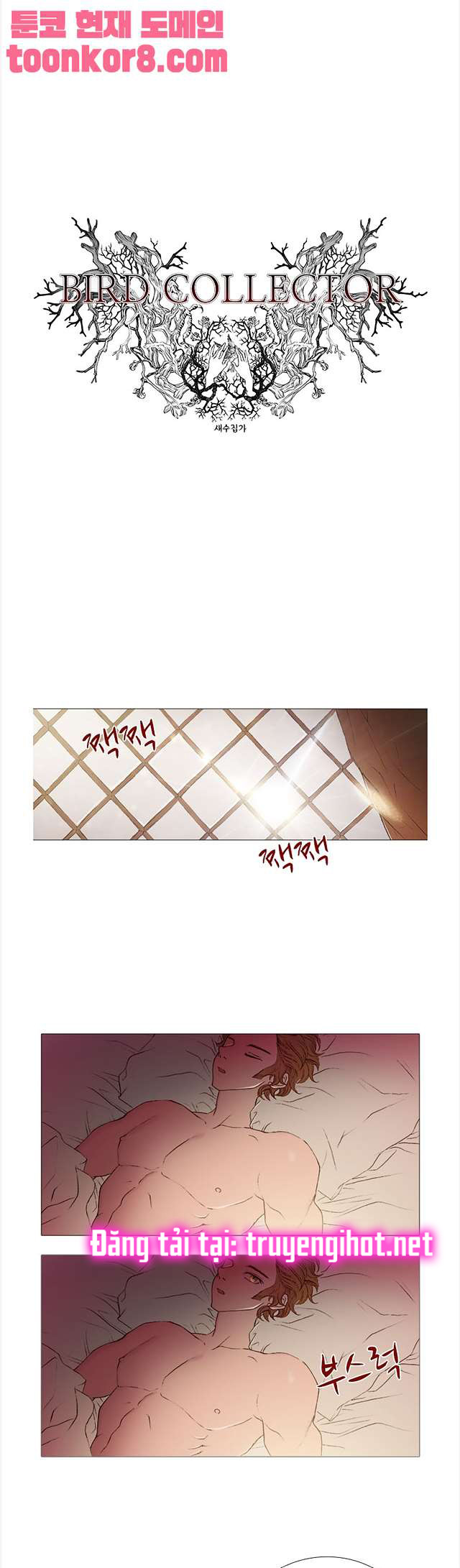 tôi chính là nhà sưu tập chim chapter 33 5