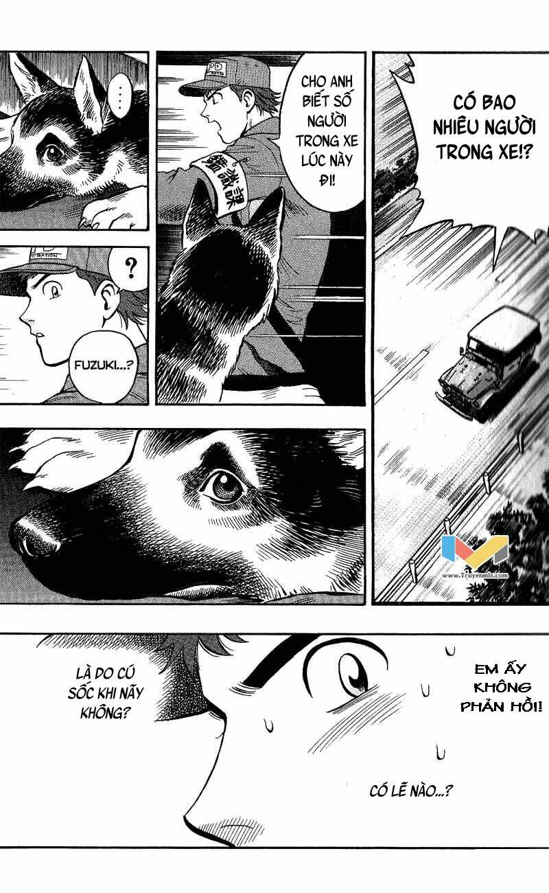 animal sense chapter 9 16