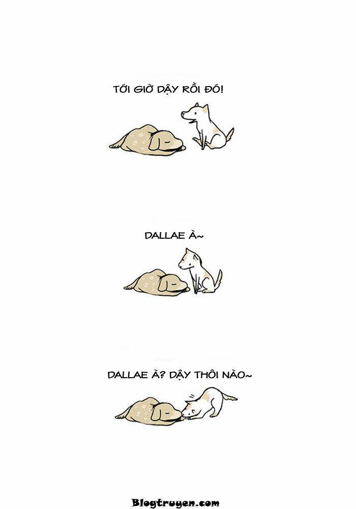 my kitty and old dog chapter 12 11