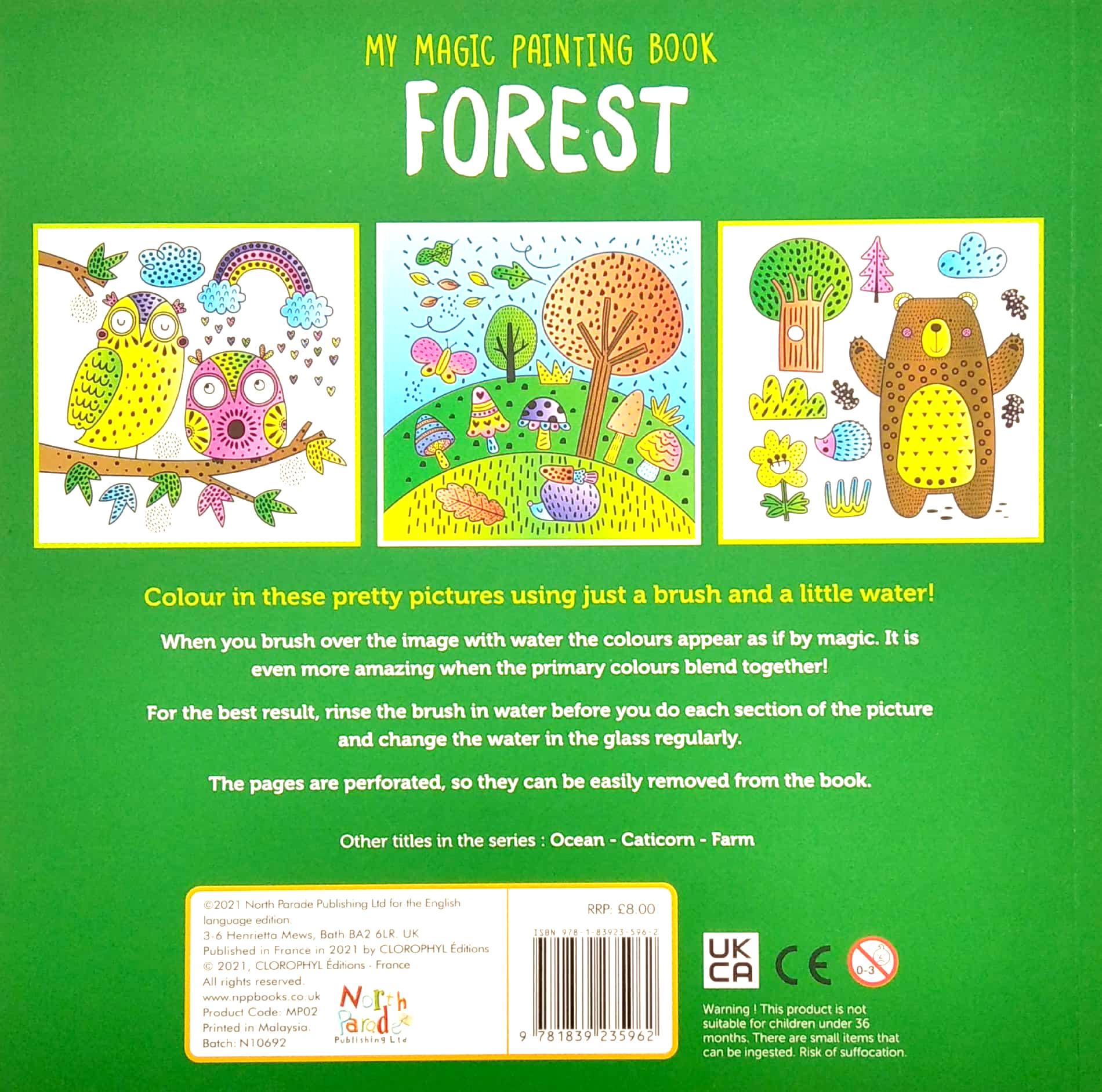 My Magic Painting Book: Forest