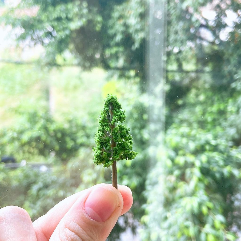 Mô hình cây hoa nhiều màu sắc, cây thông trang trí sân vườn, bàn làm việc văn phòng tiểu cảnh, sen đá, terrarium