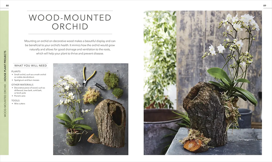 RHS Practical Houseplant Book