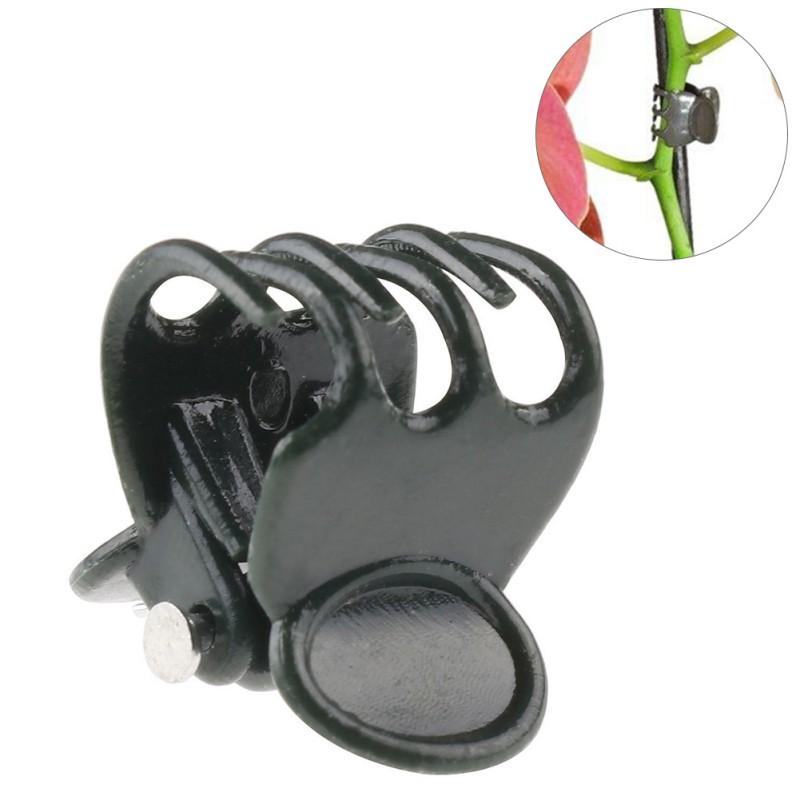 Set 50 Kẹp Nhựa Cố Định Cành Hoa Lan