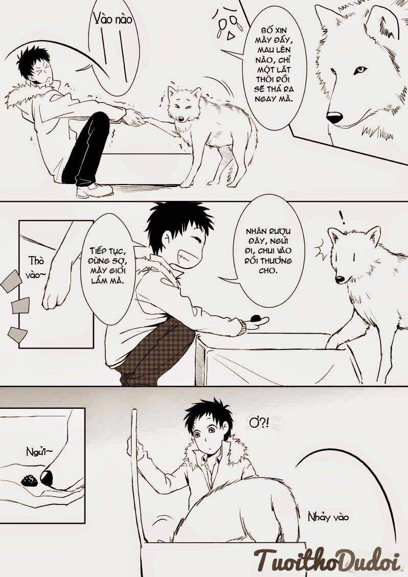 sự mê hoặc của sói chapter 11 15