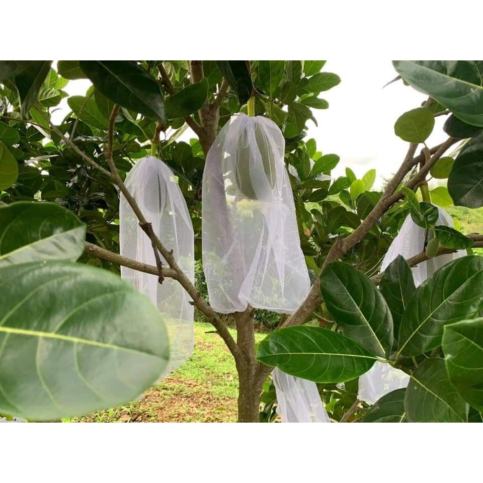 100 CÁI TÚI LƯỚI MÙNG BỌC MÍT THÁI LOẠI LƯỚI MÙNG TỐT 50*70cm