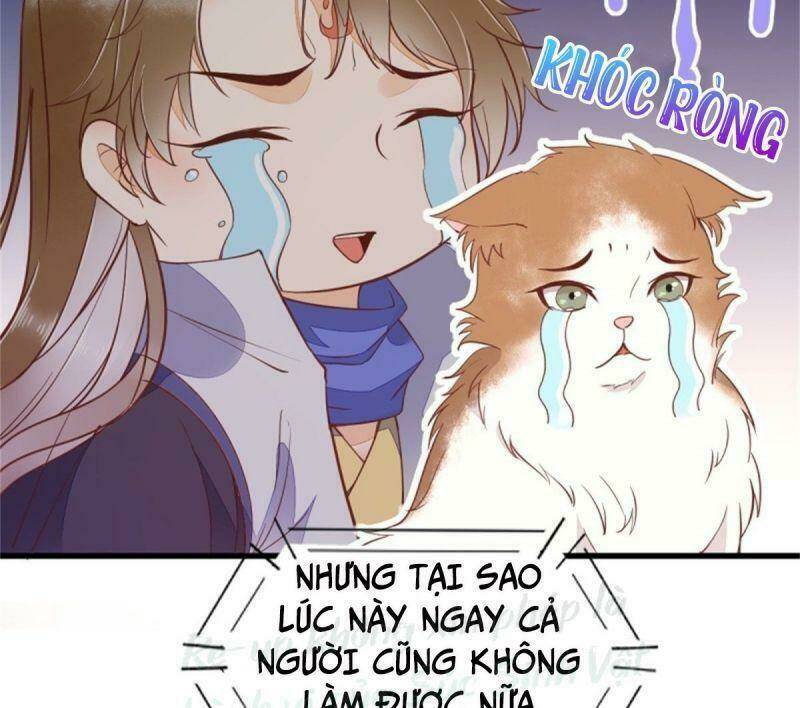 sát thủ vương phi không dễ chọc chapter 30 48