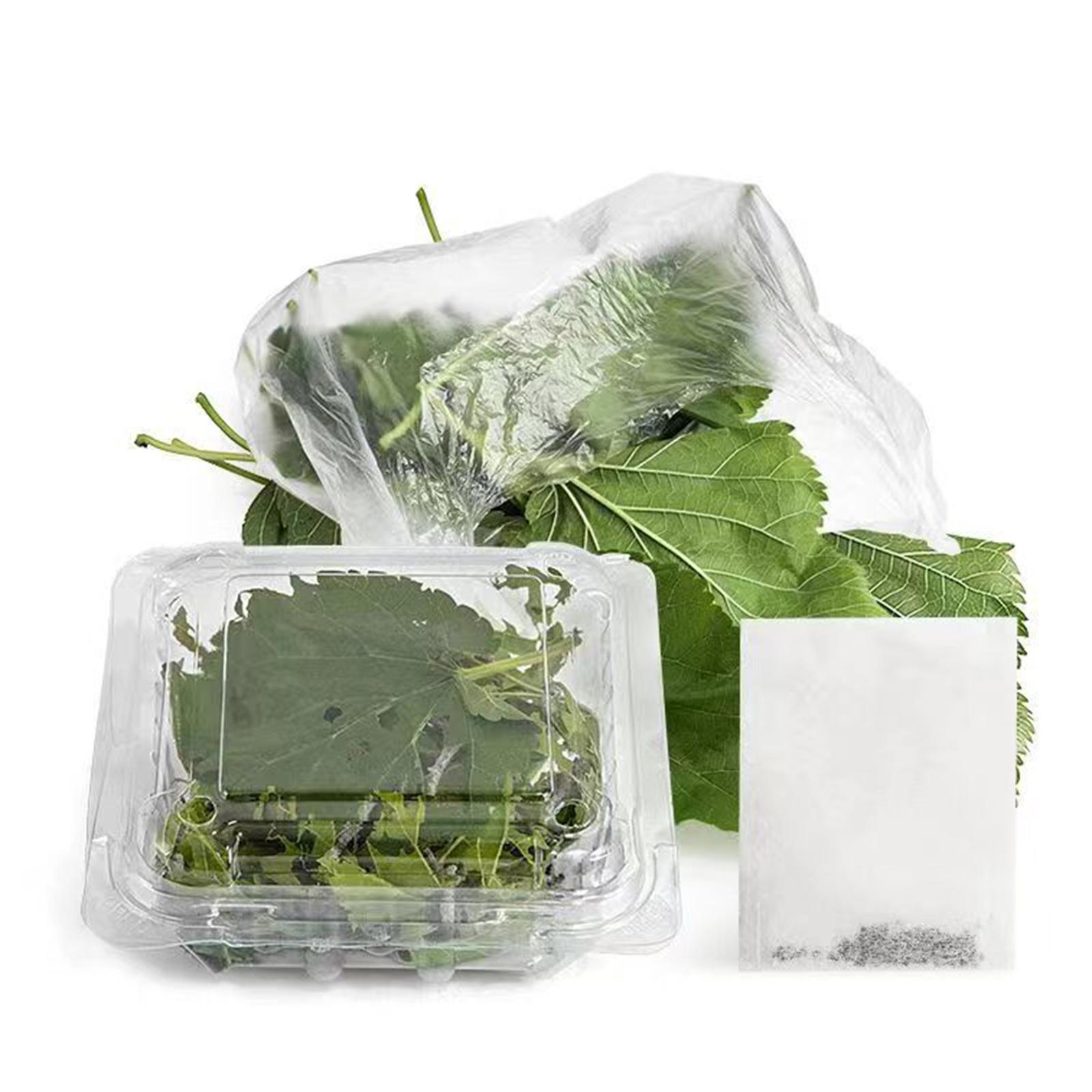 Animal Baby Breeding Box Transparent Cover Lid Pet Supplies Space for