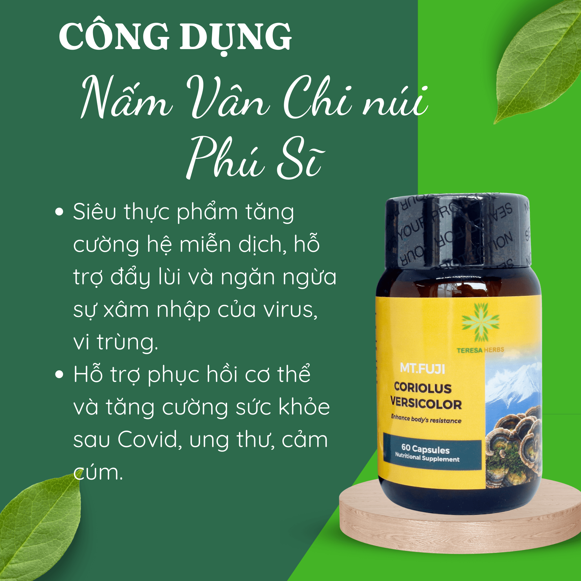 Nấm Vân Chi Núi Phú Sĩ (Made in USA) - Tăng cường sức đề kháng, hệ miễn dịch, hỗ trợ điều trị ung thư (Hộp 60 viên 500mg/ viên)