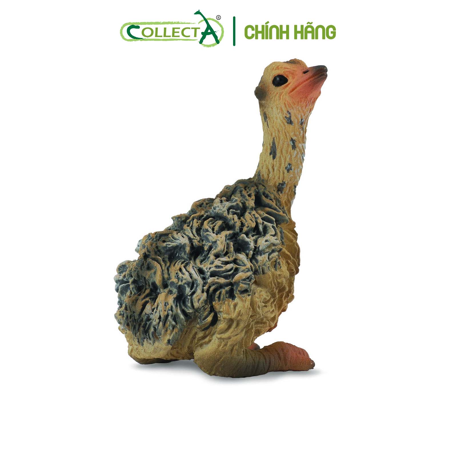 Mô hình thu nhỏ: Đà Điểu con - Ostrich Chick - Sitting, hiệu: CollectA, mã HS 9651151[88460] -  Chất liệu an toàn cho trẻ - Hàng chính hãng