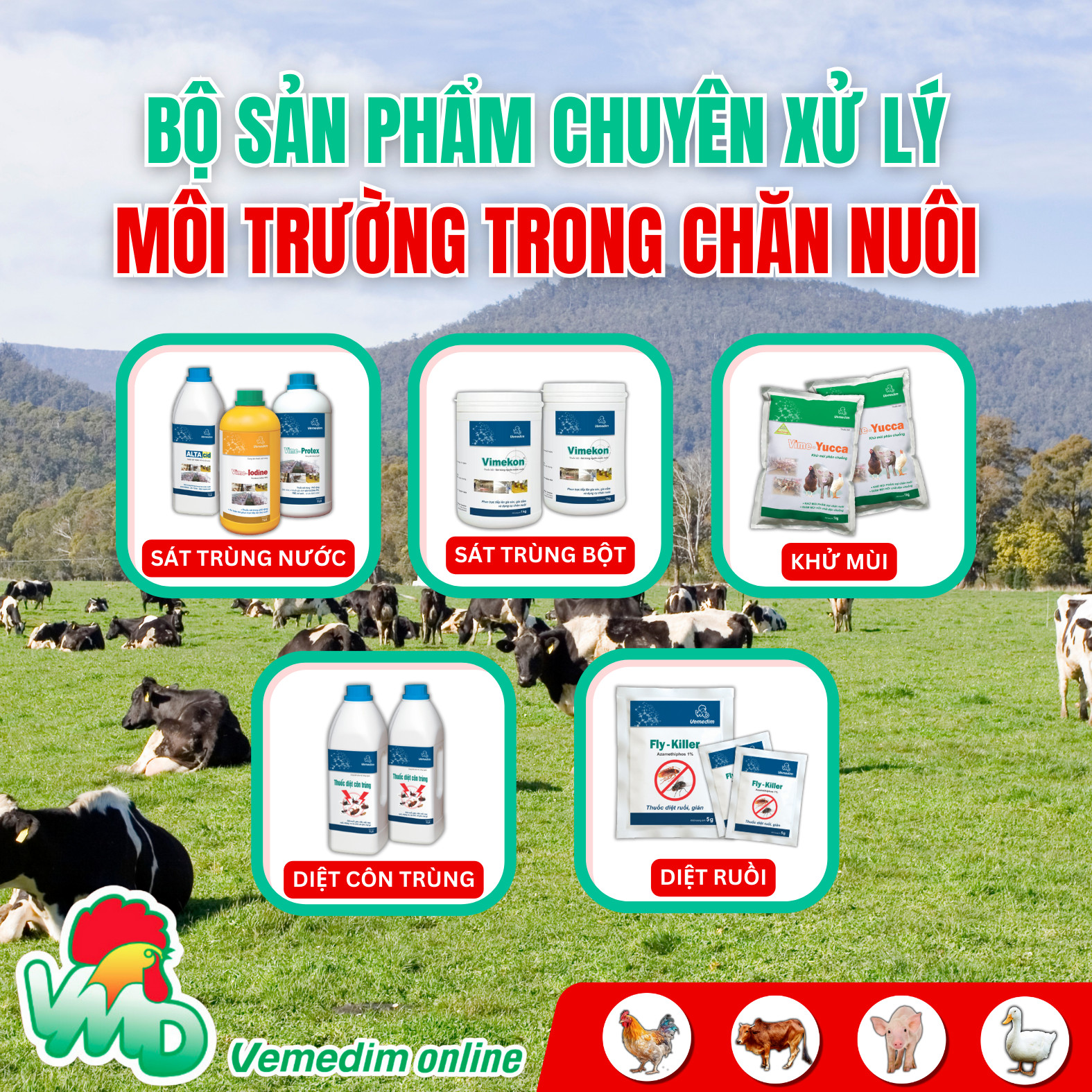 Albenvet 600-Trị nội ký sinh trùng như giun tròn dạ dày-ruột, giun phổi, sán dây và sán lá gan ở bê, nghé, cừu và dê, hộp 50 viên, sản phẩm Vemedim