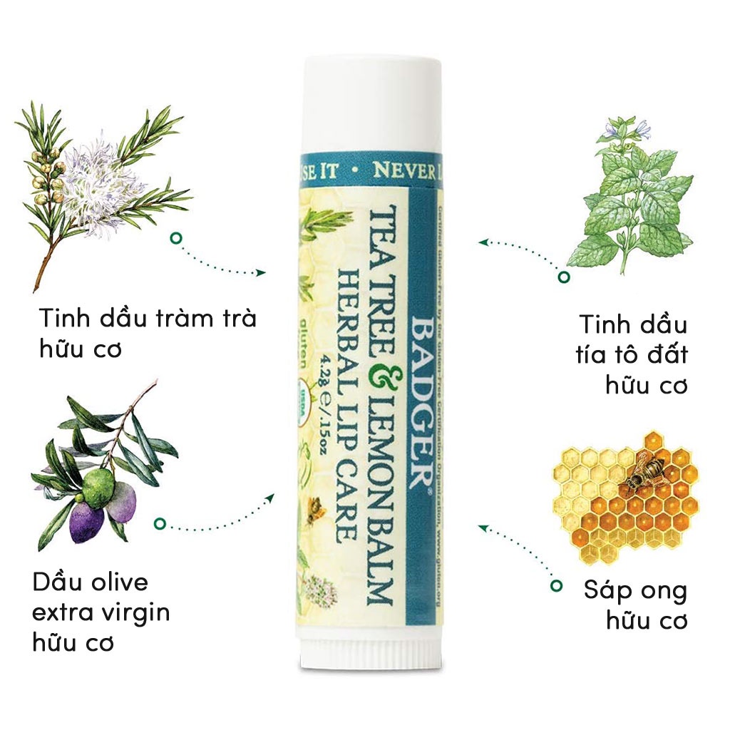 Son dưỡng môi thảo mộc hữu cơ Badger Tea Tree & Lemon Balm Herbal Lip Balm USDA Organic