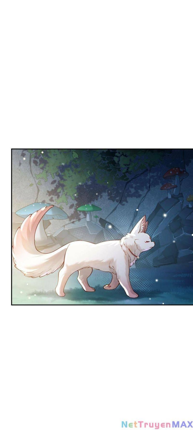 bói toán mà thôi, cửu vĩ yêu đế sao lại thành nương tử ta?! chapter 22 8