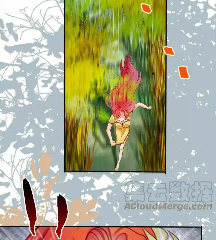 thần y khí nữ: ngự thú cuồng phi của quỷ đế chapter 65 14