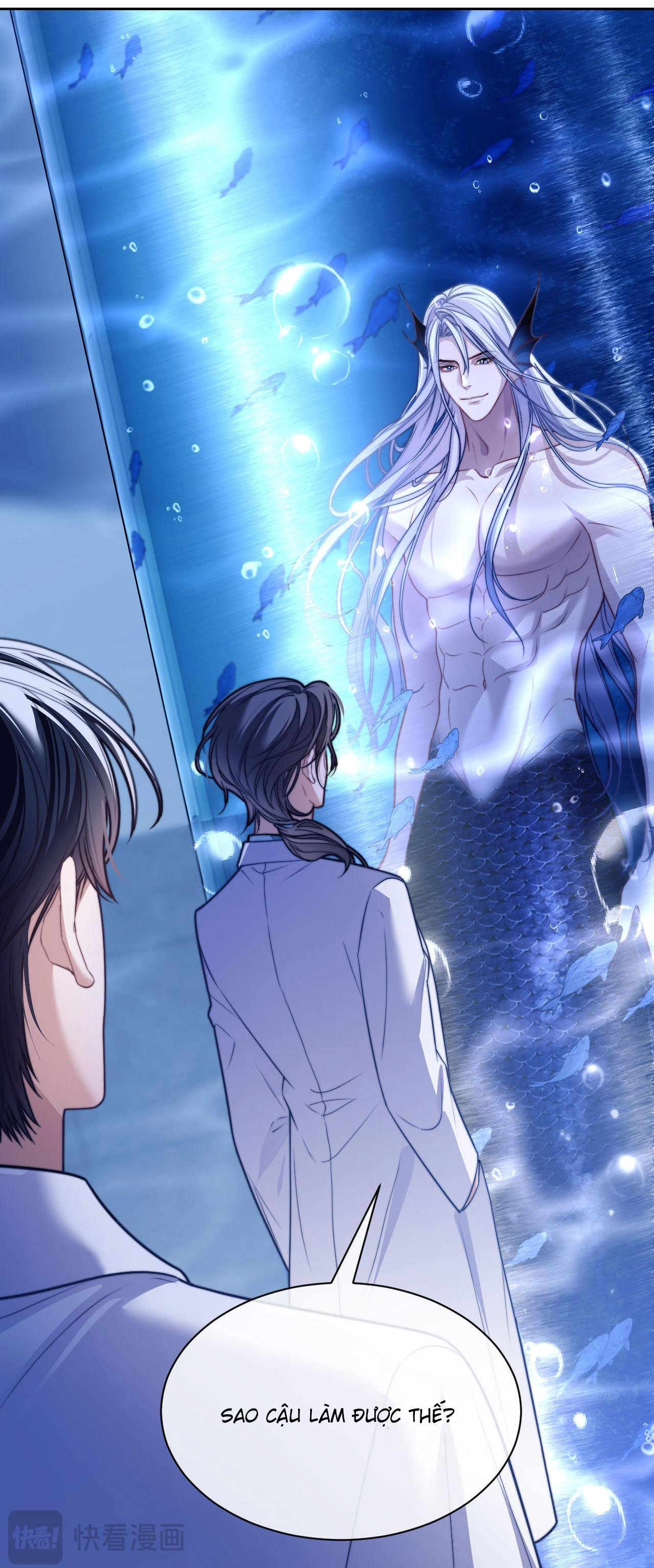 nhân ngư dessaro chapter 19 9