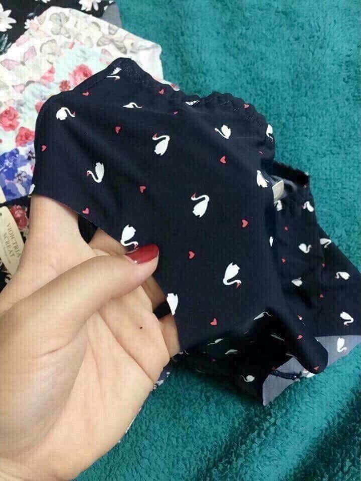 Combo 5 quần chip su hoa điều hòa, mịn mát
