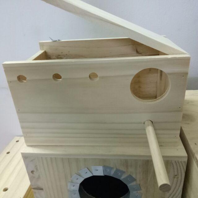 TỔ ĐẺ YẾN PHỤNG NẮP TRÊN GỖ THÔNG NGUYÊN KHỐI