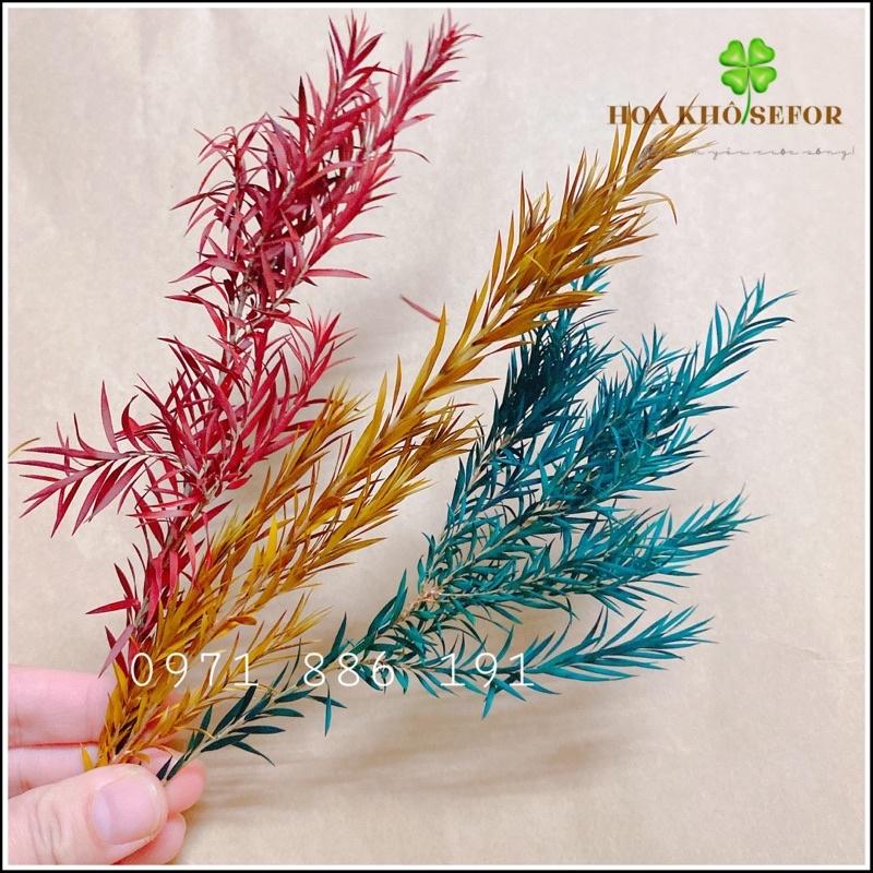 Oa lá Tràm khô mini, Trang trí decor cắm hoa, phụ kiện chụp ảnh sản phẩm, phụ kiện trang trí handmade, làm nến thơm