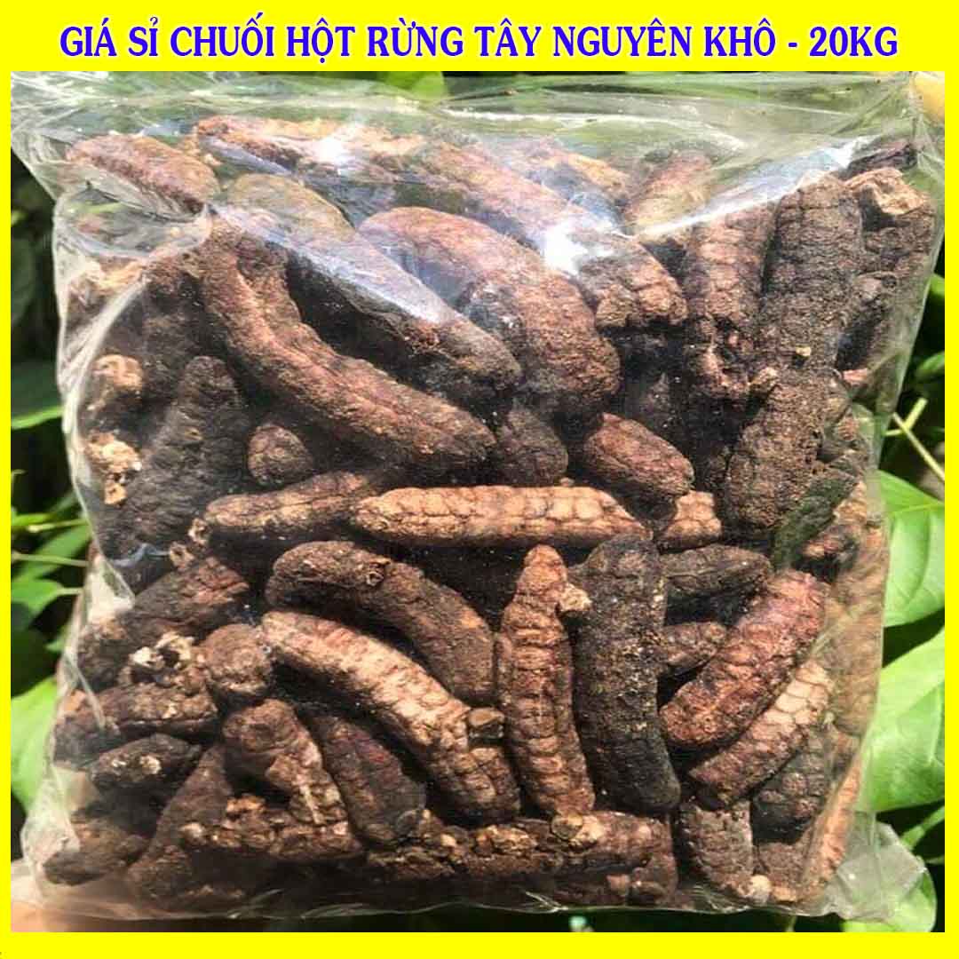 Cung cấp sỉ Chuối Hột Rừng Tây Nguyên khô giá bán 20kg