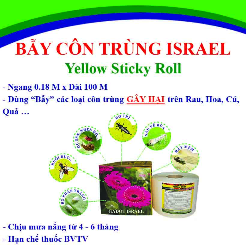 Bộ 5 mét Keo bẫy ruồi đục trái, bẫy bọ trĩ, bọ phấn, sâu vẽ bùa và bẫy các côn trùng khác của Israel với thời gian trên 6 tháng