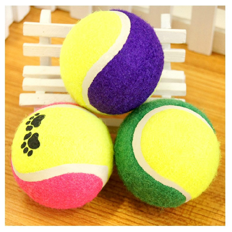 Bóng tennis đồ chơi cho chó cưng