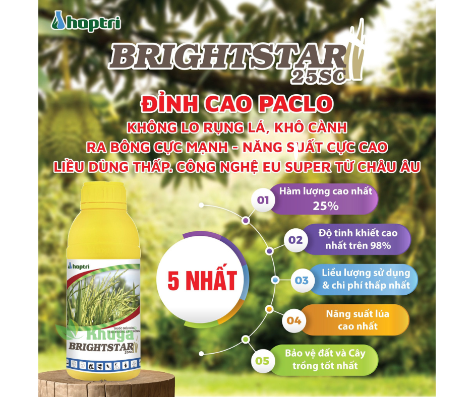 Điều hòa sinh trưởng Hợp Trí BrightStar 25SC 1 lít Paclo 25% dang nước