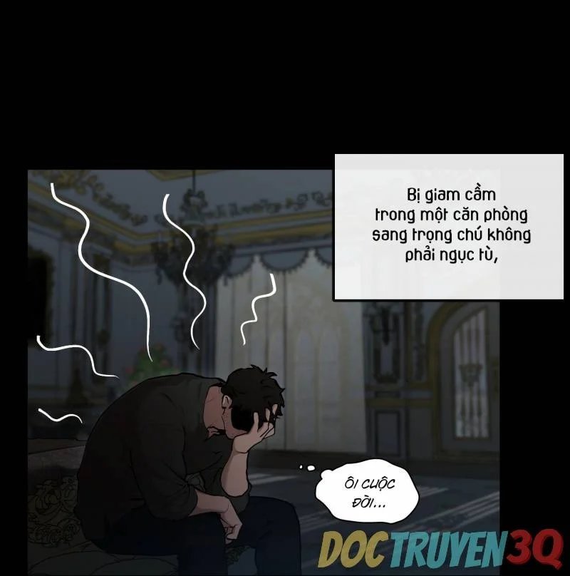 plaything - món đồ chơi của đại công tước chapter 41 19