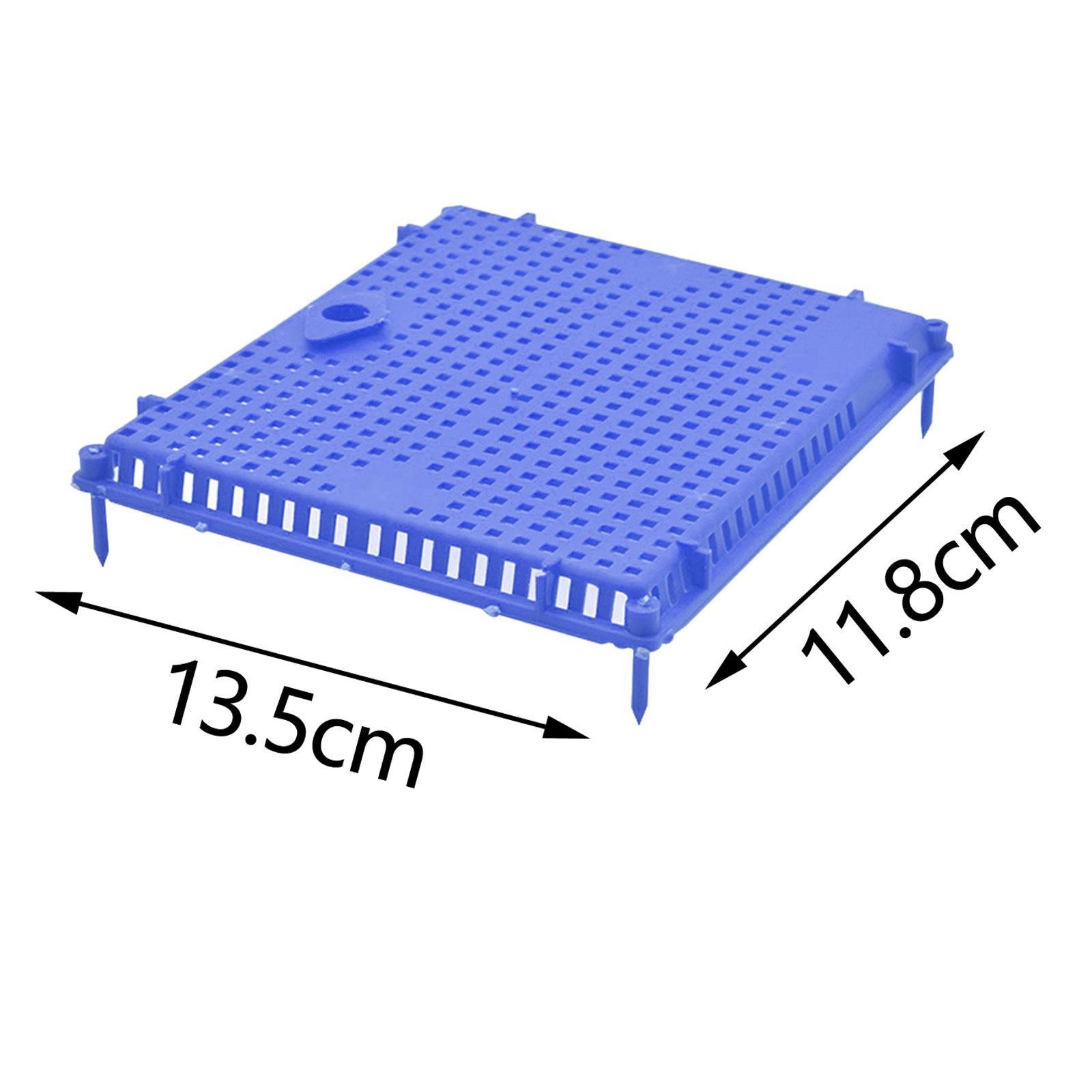 Queen Bee Isolator Introducing Cage Plastic Equipment Reusable Beekeeping
