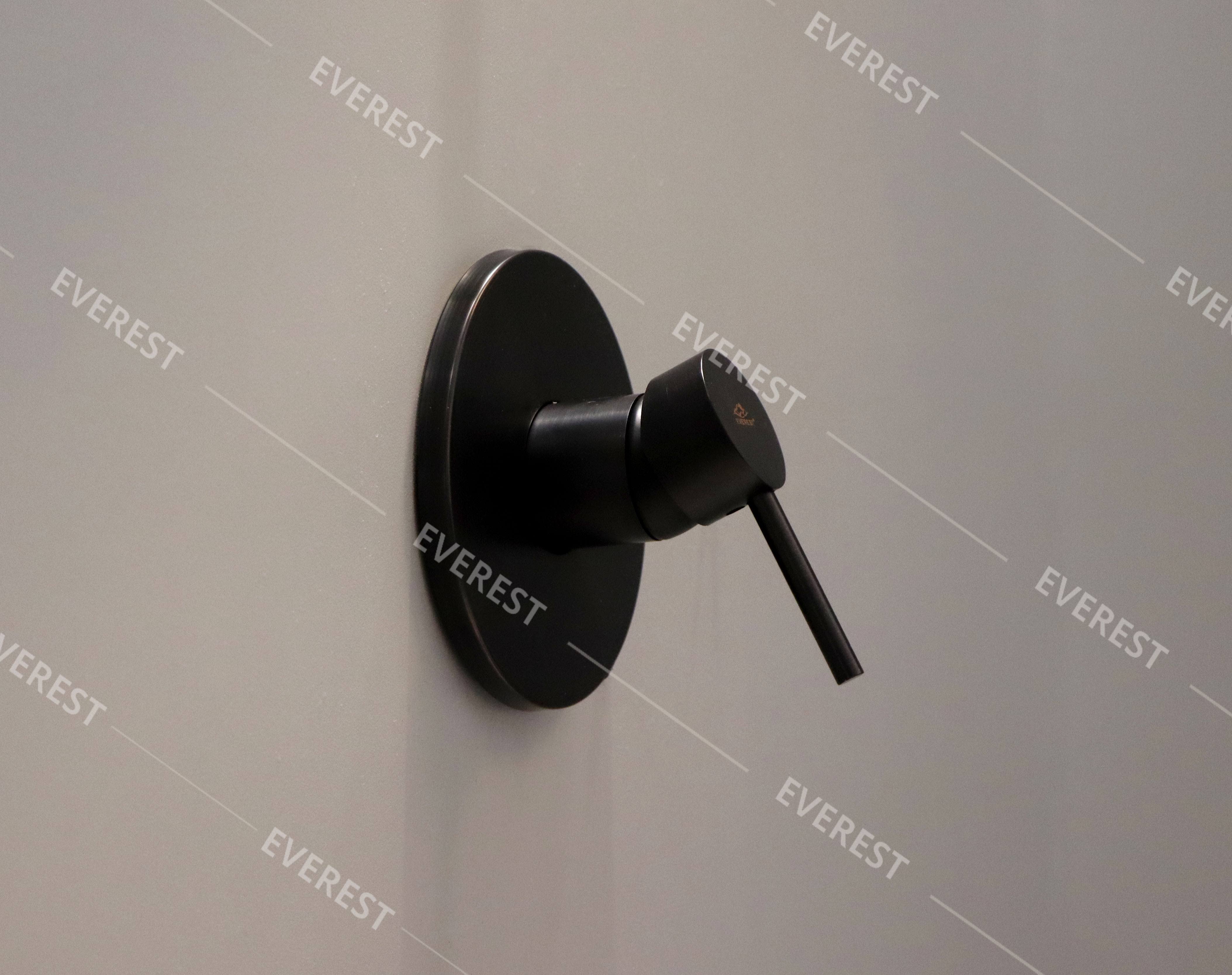 Sen tắm âm tường EVEREST EV-VĐ09