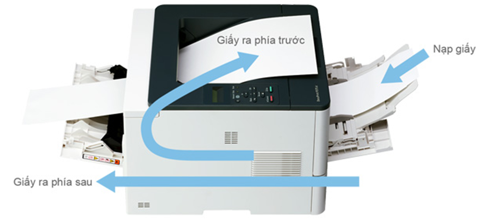 Máy in laser Fuji XEROX DocuPrint P375 dw ( In, Đảo mặt, Kết nối mạng, Wifi ) - Hàng chính hãng