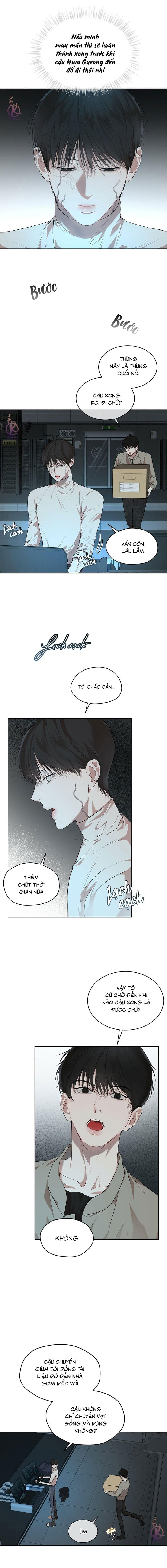 hình thái khởi sinh chapter 56 2