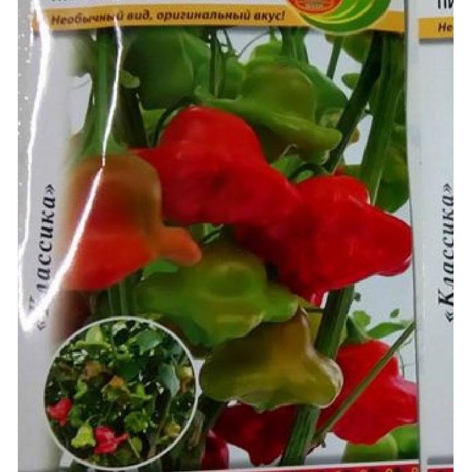 Hạt Giống Ớt Chuông Gió F1 Ncsemena,ớt hoa hồng-gói 20 hạt/tặng kèm gói phân bón lót